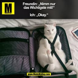 Freundin: „Nimm nur
das Wichtigste mit!“

Ich: „Okay.“
(BILD)