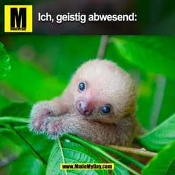 Ich, geistig abwesend:
(BILD)