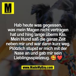 Hab heute was gegessen,
was mein Magen nicht vertragen
hat und hing lange überm Klo.
Mein Hund saß die ganze Zeit
neben 