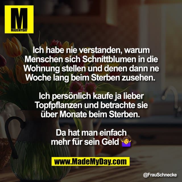 Ich habe nie verstanden, warum
Menschen sich Schnittblumen in die
Wohnung stellen und denen dann ne
Woche lang beim Sterben zusehen.
Ich persönlich kaufe ja lieber
Topfpflanzen und betrachte sie
über Monate beim Sterben.
Da hat man einfach
mehr für sein Geld 🤷♀️ - Inspiration, Zitate & Sprüche | MadeMyDay | Jetzt entdecken & teilen Ich habe nie verstanden, warum
Menschen sich Schnittblumen in die
Wohnung stellen und denen dann ne
Woche lang beim Sterben zusehen.
Ich persönlich kaufe ja lieber
Topfpflanzen und betrachte sie
über Monate beim Sterben.
Da hat man einfach
mehr für sein Geld 🤷♀️ - Inspirierendes Zitat mit Bild