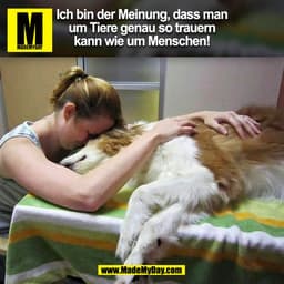 Ich bin der Meinung, dass man
um Tiere genau so trauern
kann wie um Menschen!
(BILD)