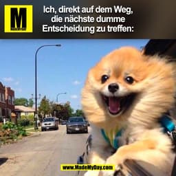 Ich, direkt auf dem Weg,
die nächste dumme
Entscheidung zu treffen:
(BILD)