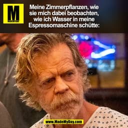 Meine Zimmerpflanzen, wie
sie mich dabei beobachten,
wie ich Wasser in meine
Espressomaschine schütte:
(BILD)