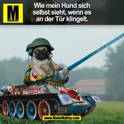 Wie mein Hund sich
selbst sieht, wenn es
an der Tür klingelt.
(BILD)
