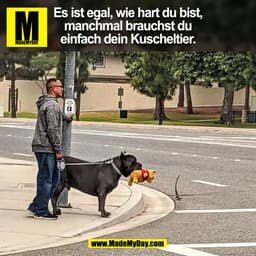Es ist egal, wie hart du bist, manchmal brauchst du einfach dein Kuscheltier.
(BILD)