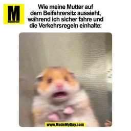 Wie meine Mutter auf
dem Beifahrersitz aussieht,
während ich sicher fahre und
die Verkehrsregeln einhalte:
(BILD)