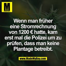 Wenn man früher
eine Stromrechnung
von 1200 € hatte, kam
erst mal die Polizei um zu
prüfen, dass man keine
Plantage betr