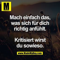 Mach einfach das,
was sich für dich
richtig anfühlt.

Kritisiert wirst
du sowieso.