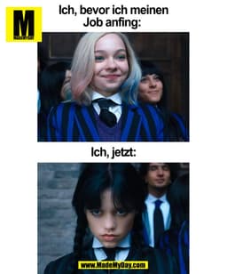 Ich, bevor ich meinen
Job anfing: 
Ich, jetzt:
(BILD)