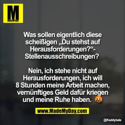 Was sollen eigentlich diese
scheißigen „Du stehst auf
Herausforderungen?“-
Stellenausschreibungen? 

Nein, ich stehe nic