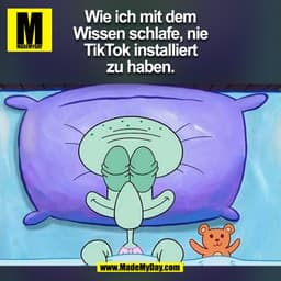 Wie ich mit dem
Wissen schlafe, nie
TikTok installiert
zu haben.
(BILD)