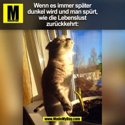Wenn es immer später
dunkel wird und man spürt,
wie die Lebenslust
zurückkehrt: