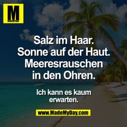 Salz im Haar.
Sonne auf der Haut.
Meeresrauschen
in den Ohren.
Ich kann es kaum
erwarten.