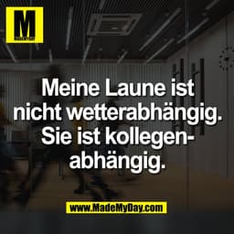 Meine Laune ist
nicht wetterabhängig.
Sie ist kollegenabhängig.