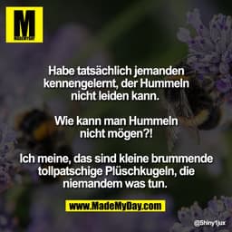 Habe tatsächlich jemanden
kennengelernt, der Hummeln
nicht leiden kann.
Wie kann man Hummeln
nicht mögen?!
Ich meine, da
