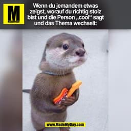 Wenn du jemandem etwas
zeigst, worauf du richtig stolz
bist und die Person „cool" sagt
und das Thema wechselt:
