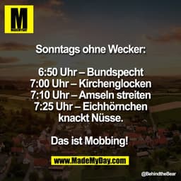 Spruch