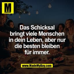 Das Schicksal
bringt viele Menschen
in dein Leben, aber nur
die besten bleiben
für immer.
