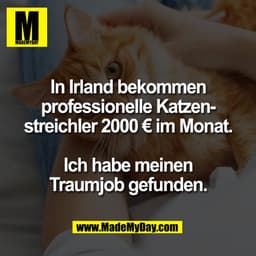 In Irland bekommen
professionelle Katzenstreichler 2000 € im Monat.
Ich habe meinen
Traumjob gefunden.