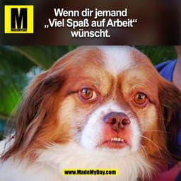 Wenn dir jemand
„Viel Spaß auf Arbeit“
wünscht.
(BILD)
