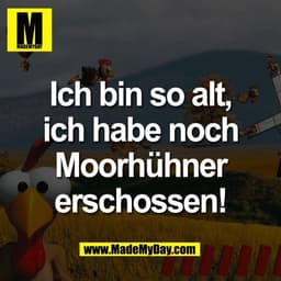 Ich bin so alt,
ich habe noch
Moorhühner
erschossen
