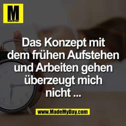 Das Konzept mit
dem frühen Aufstehen
und Arbeiten gehen
überzeugt mich
nicht ...