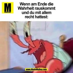 Wenn am Ende die
Wahrheit rauskommt
und du mit allem
recht hattest:
(BILD)
