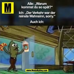 Alle: „Warum
kommst du so spät?"
Ich: Der Verkehr war der
reinste Wahnsinn, sorry."*
Auch ich: