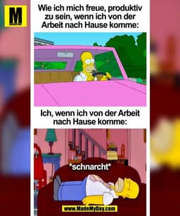 Wie ich mich freue, produktiv
zu sein, wenn ich von der
Arbeit nach Hause komme:

Ich, wenn ich von der Arbeit
nach Haus