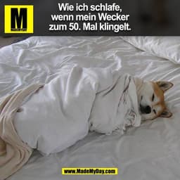 Wie ich schlafe,
wenn mein Wecker
zum 50. Mal klingelt.
(BILD)