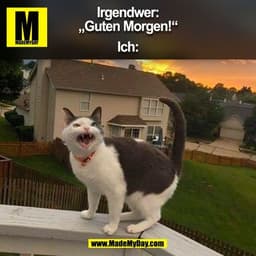 Irgendwer:
„Guten Morgen!“

Ich:
(BILD)