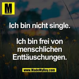 Ich bin nicht single.

Ich bin frei von
menschlichen
Enttäuschungen.
