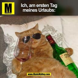 Ich, am ersten Tag
meines Urlaubs:
(BILD)