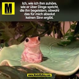 Ich, wie ich ihm zuhöre,
wie er über Dinge spricht,
die ihn begeistern, obwohl
das für mich absolut
keinen Sinn ergibt.
