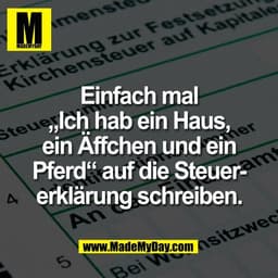 Einfach mal
„Ich hab ein Haus,
ein Äffchen und ein
Pferd“ auf die Steuer-
erklärung schreiben.