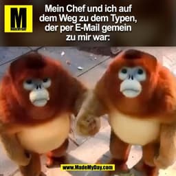 Mein Chef und ich auf
dem Weg zu dem Typen,
der per E-Mail gemein
zu mir war:
(BILD)