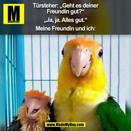 Türsteher: „Geht es deiner
Freundin gut?“

„Ja, ja. Alles gut.“

Meine Freundin und ich:
(BILD)