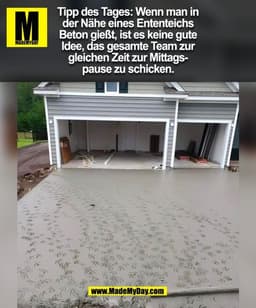 Tipp des Tages: Wenn man in
der Nähe eines Ententeichs
Beton gießt, ist es keine gute
Idee, das gesamte Team zur
gleiche