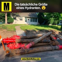 Die tatsächliche Größe eines Hydranten. 😮 (BILD)
