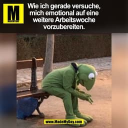 Wie ich gerade versuche,
mich emotional auf eine
weitere Arbeitswoche
vorzubereiten.
(BILD)