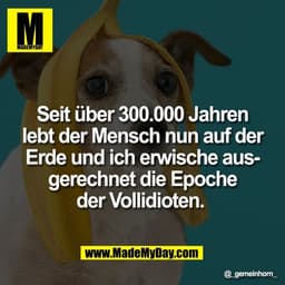 Seit über 300.000 Jahren
lebt der Mensch nun auf der
Erde und ich erwische aus-
gerechnet die Epoche
der Vollidioten.