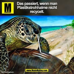 Das passiert, wenn man
Plastikstrohhalme nicht
recycelt.
Foto: TravisChapmanArt
(BILD)