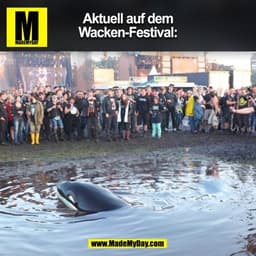 Aktuell auf dem
Wacken-Festival:
(BILD)