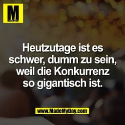 Heutzutage ist es
schwer, dumm zu sein,
weil die Konkurrenz
so gigantisch ist.