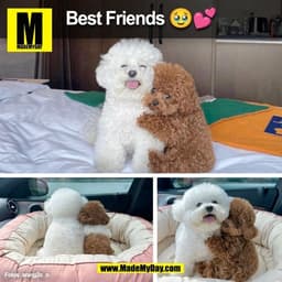 Best Friends 🥹💕
(BILD)