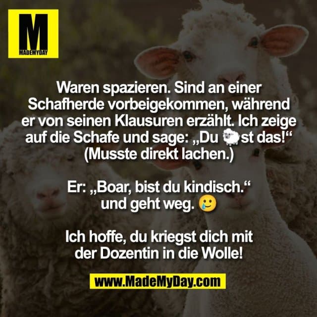 Waren spazieren. Sind an einer
Schafherde vorbeigekommen, während
er von seinen Klausuren erzählt. Ich zeige
auf die Schafe und sage: „Du 🐑st das!“
(Musste direkt lachen.)
Er: „Boar, bist du kindisch.“
und geht weg. 🥲
Ich hoffe, du kriegst dich mit
der Dozentin in die Wolle! - Inspiration, Zitate & Sprüche | MadeMyDay | Jetzt entdecken & teilen Waren spazieren. Sind an einer
Schafherde vorbeigekommen, während
er von seinen Klausuren erzählt. Ich zeige
auf die Schafe und sage: „Du 🐑st das!“
(Musste direkt lachen.)
Er: „Boar, bist du kindisch.“
und geht weg. 🥲
Ich hoffe, du kriegst dich mit
der Dozentin in die Wolle! - Inspirierendes Zitat mit Bild