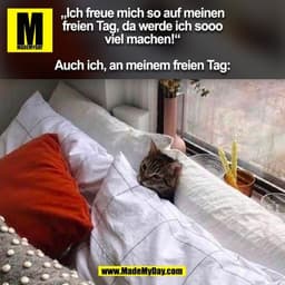 „Ich freue mich so auf meinen
freien Tag, da werde ich sooo
viel machen!“

Auch ich, an meinem freien Tag:
(BILD)