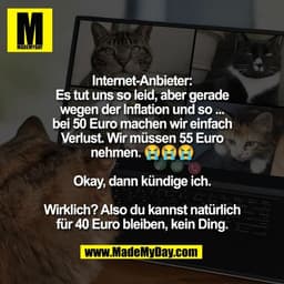 Internet-Anbieter:
Es tut uns so leid, aber gerade
wegen der Inflation und so ...
bei 50 Euro machen wir einfach
Verlust