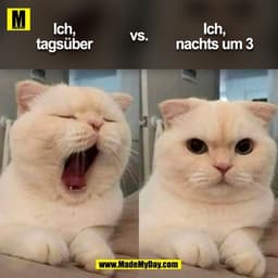 Ich, tagsüber vs. Ich, nachts um 3 
(BILD)