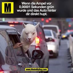 Wenn die Ampel vor
0,00001 Sekunden grün
wurde und das Auto hinter
dir direkt hupt.
(BILD)